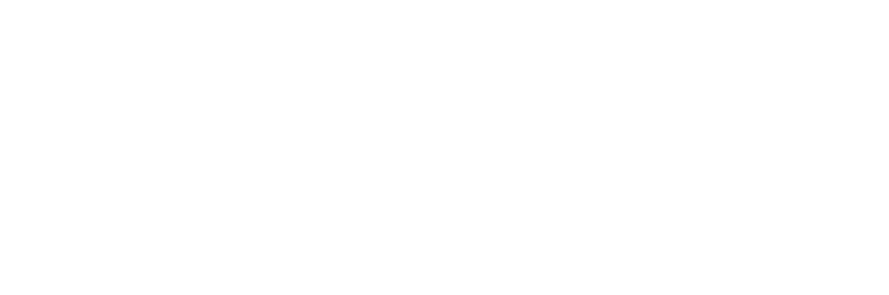 ORLEN Transport